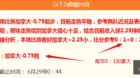 巴西杯战绩解析足球比赛比分：5胜4负，数据洞察指南